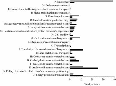 Exoproteome Analysis of the Seaweed Pathogen Nautella italica R11 Reveals Temperature-Dependent Regulation of RTX-Like Proteins